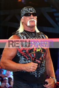 Hulk Hogan Wikipedia